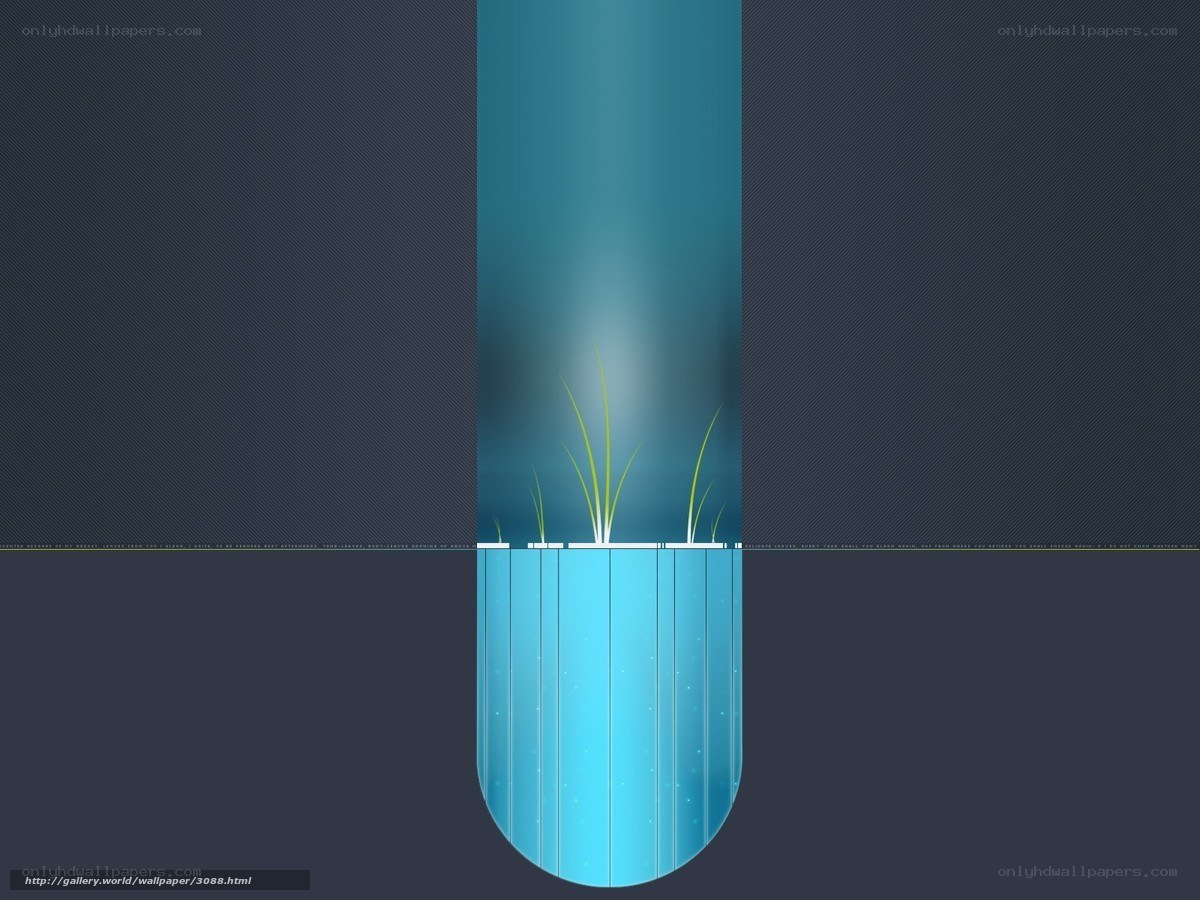 Underwater plant growth