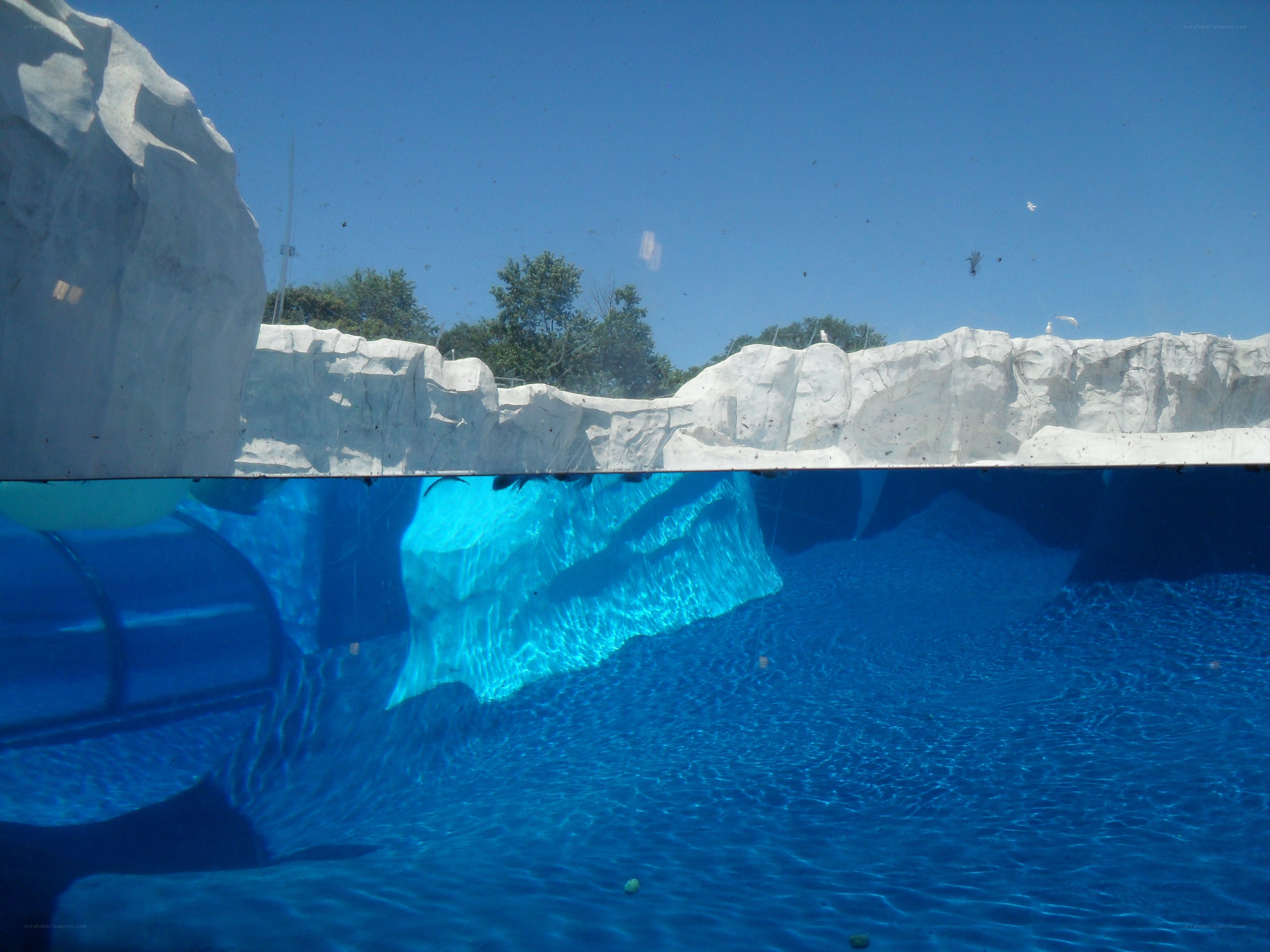underwater pool view