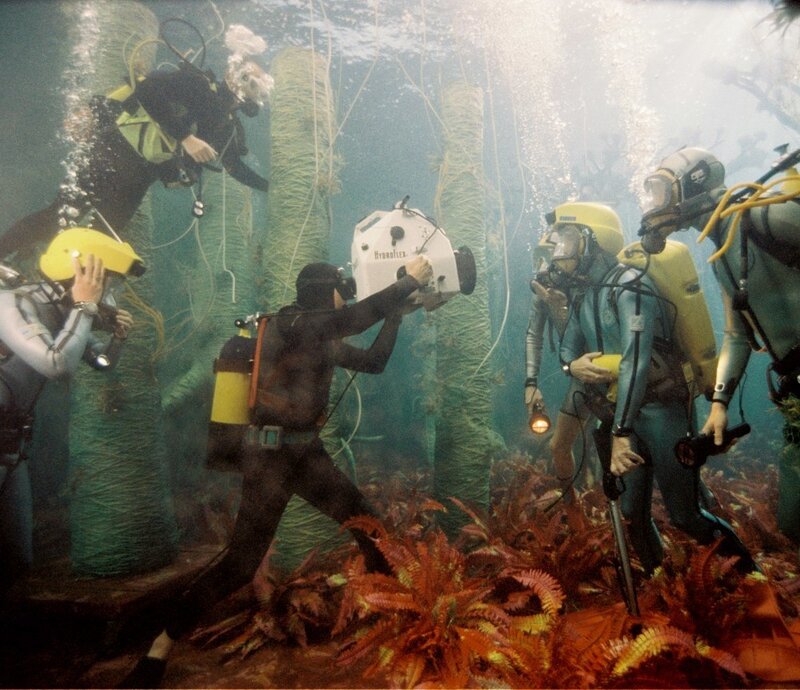 Underwater research team