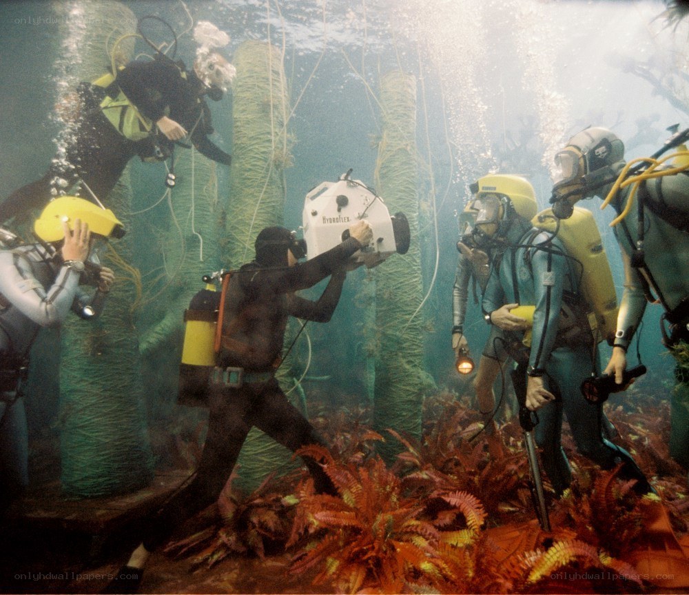 Underwater research team