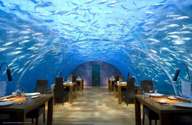 Underwater Restaurant — Blue, Serene, Photograph, Tables