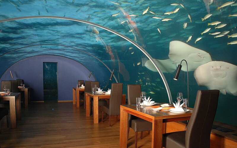 Underwater Restaurant — Blue, Serene, Photograph