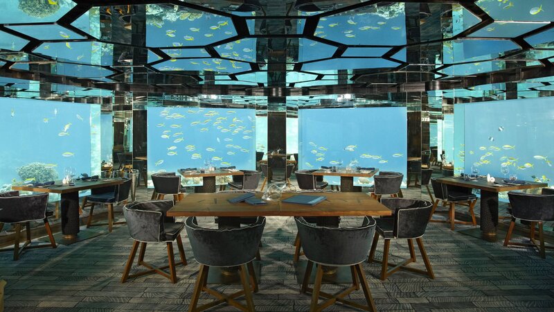 Underwater Restaurant — Blue