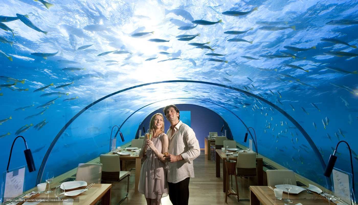 Underwater restaurant dining