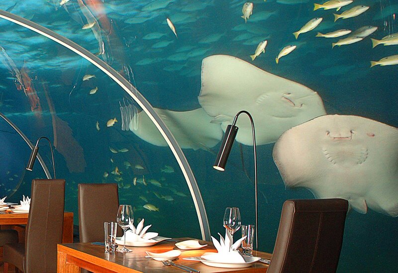 Underwater Restaurant Dining — Blue