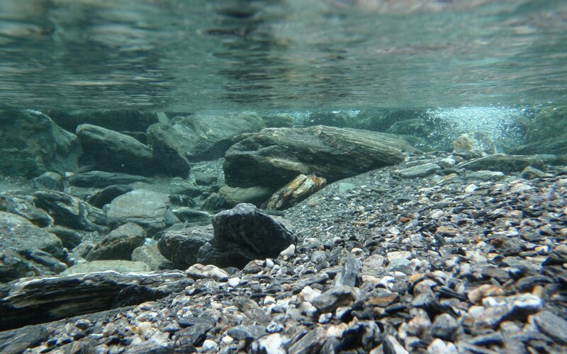 Underwater riverbed rocks