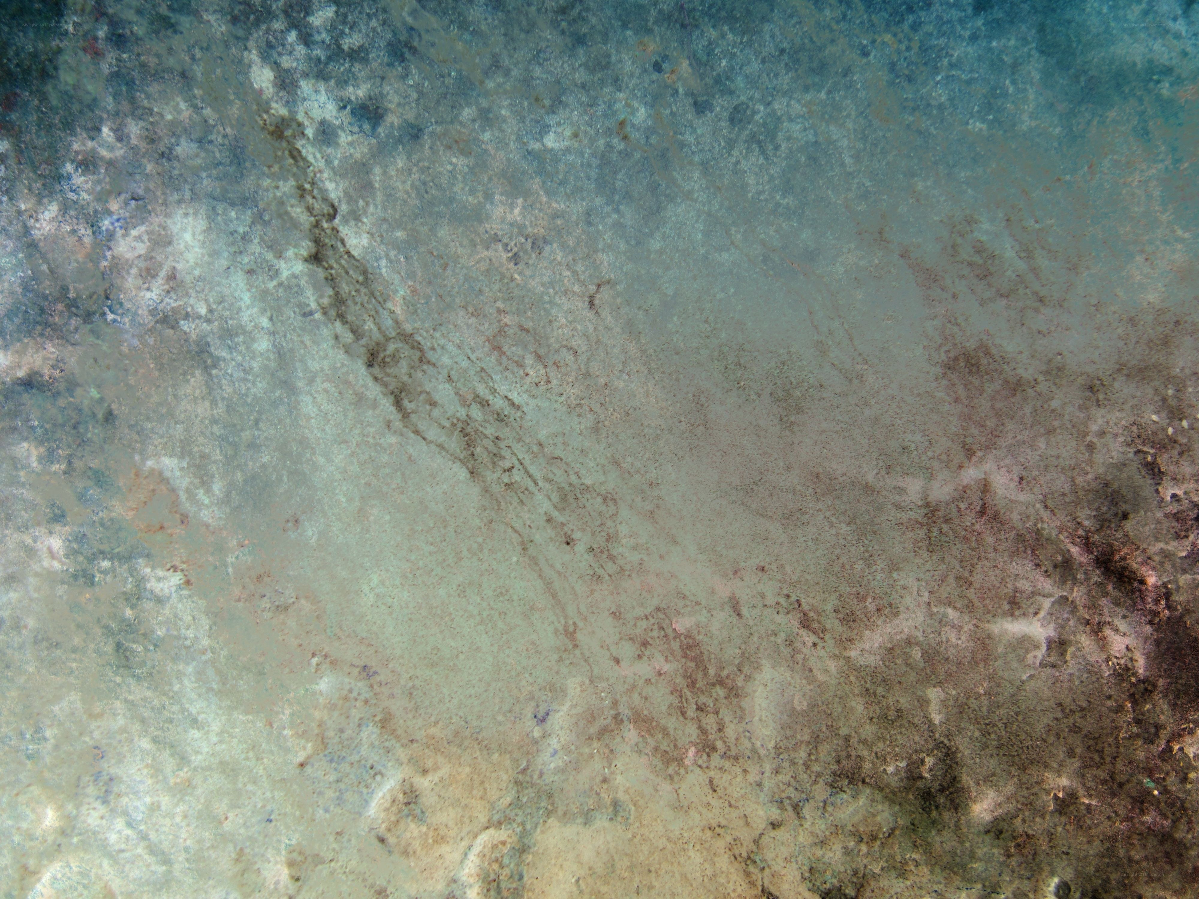 underwater rock surface