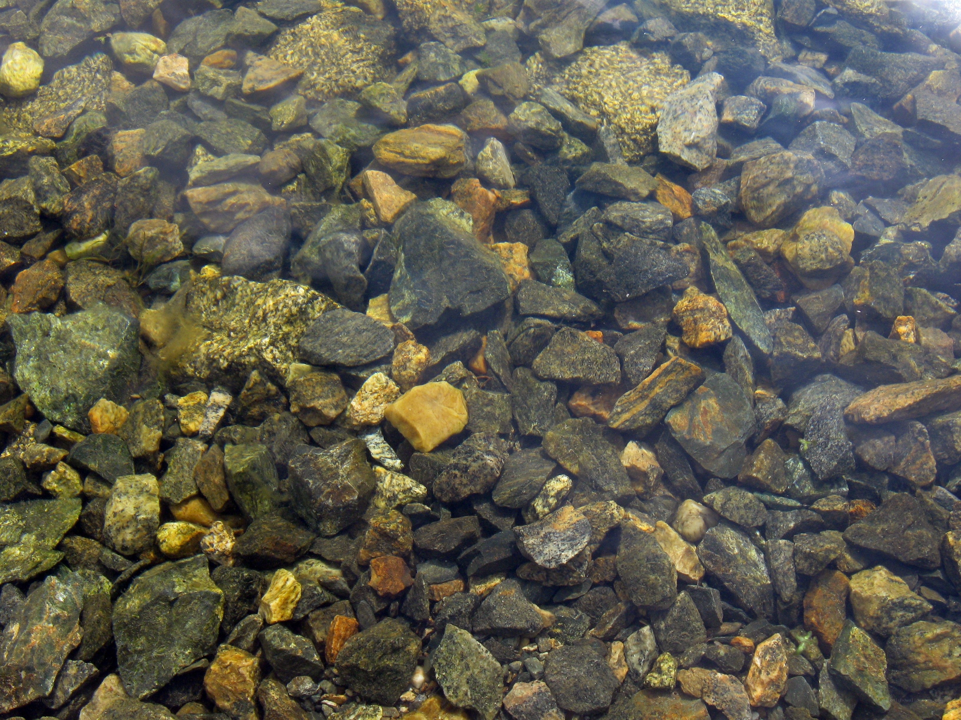 Underwater rocks in clear water