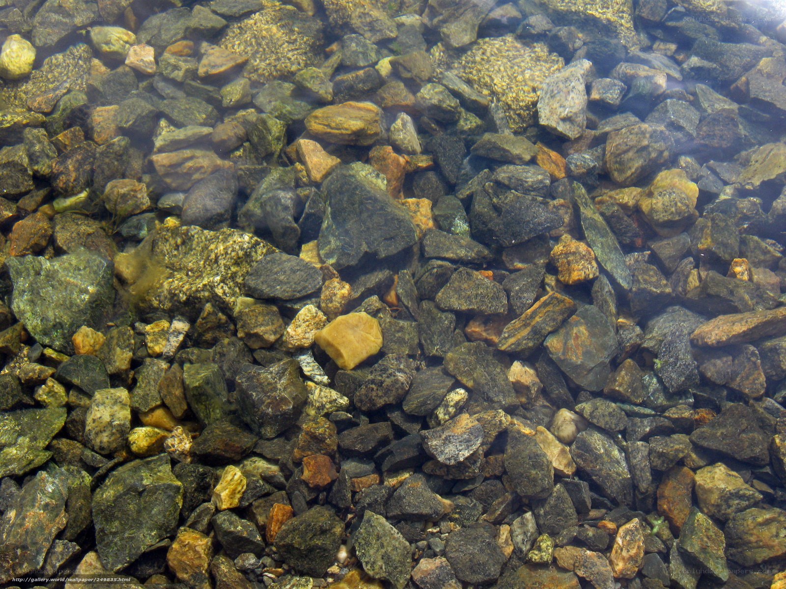 Underwater rocks in clear water