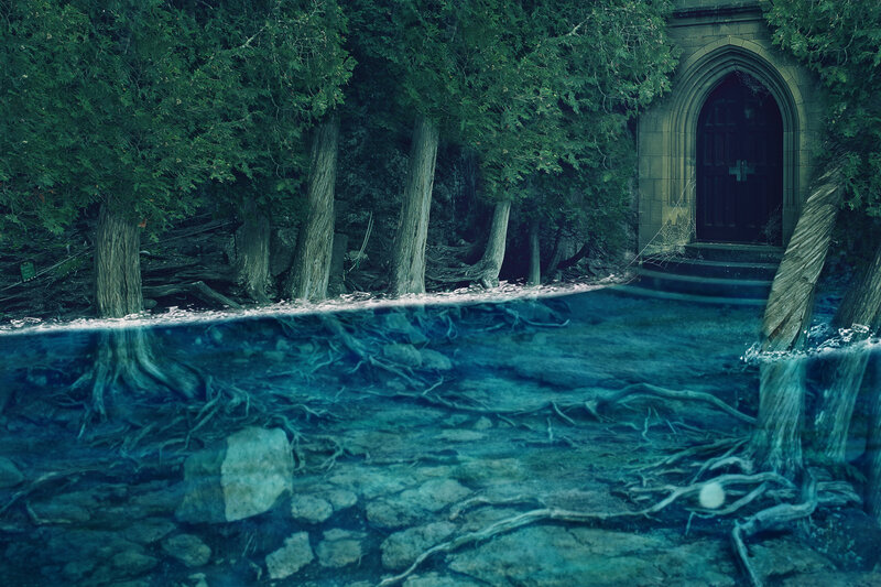 Underwater Roots and Door