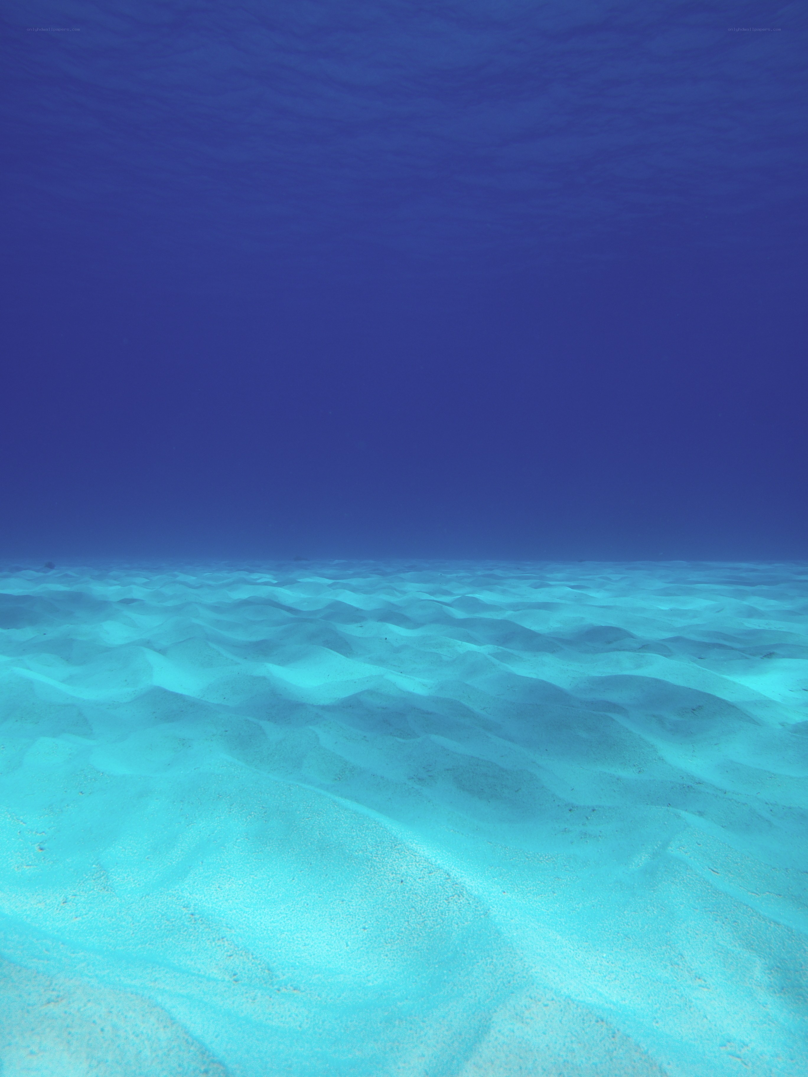 underwater sand dunes