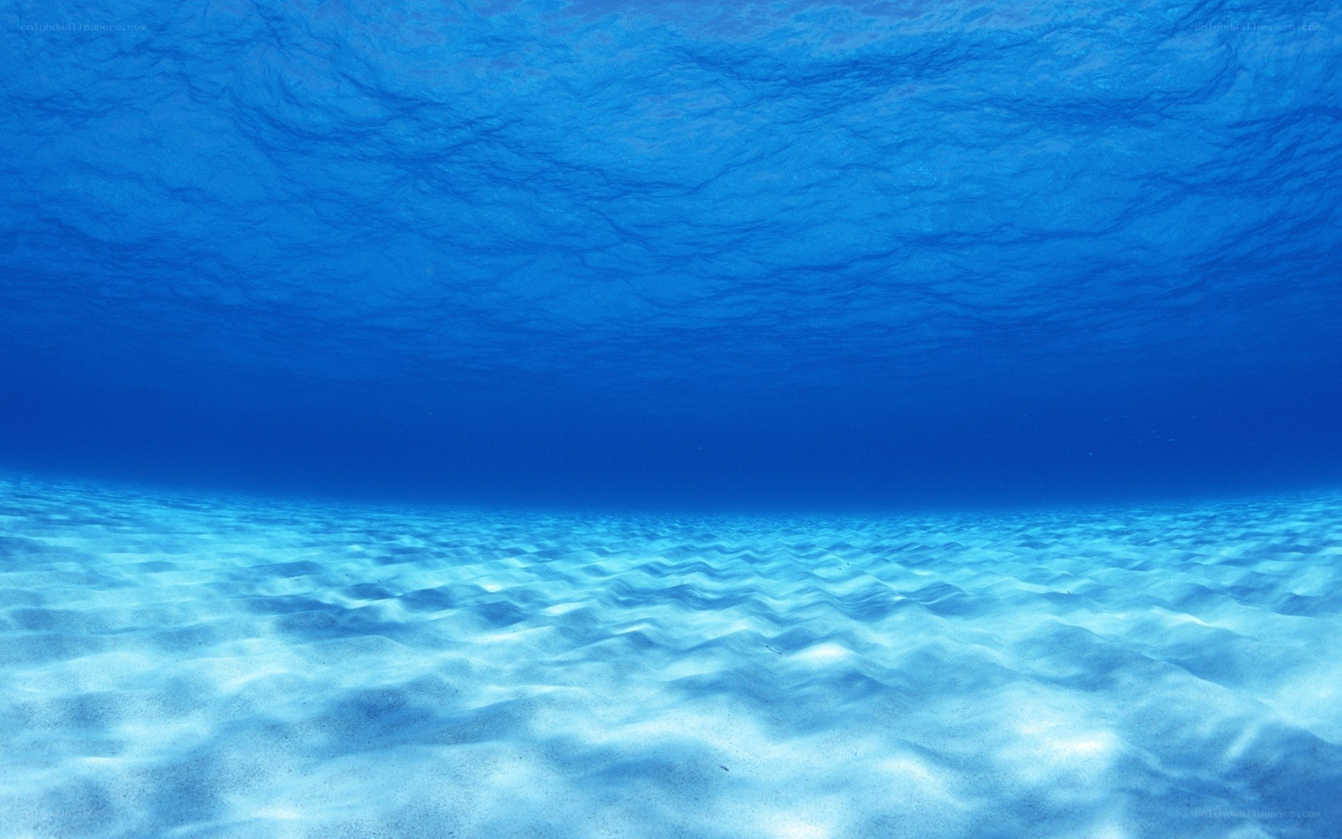 underwater sand dunes