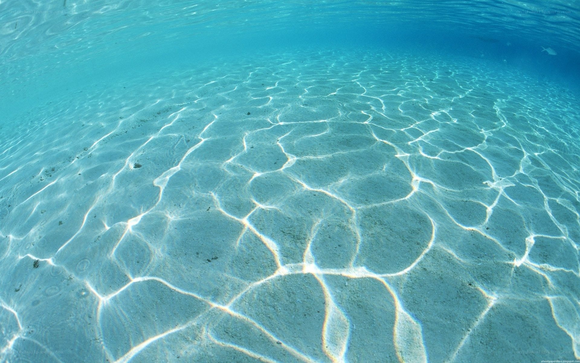 underwater sand patterns