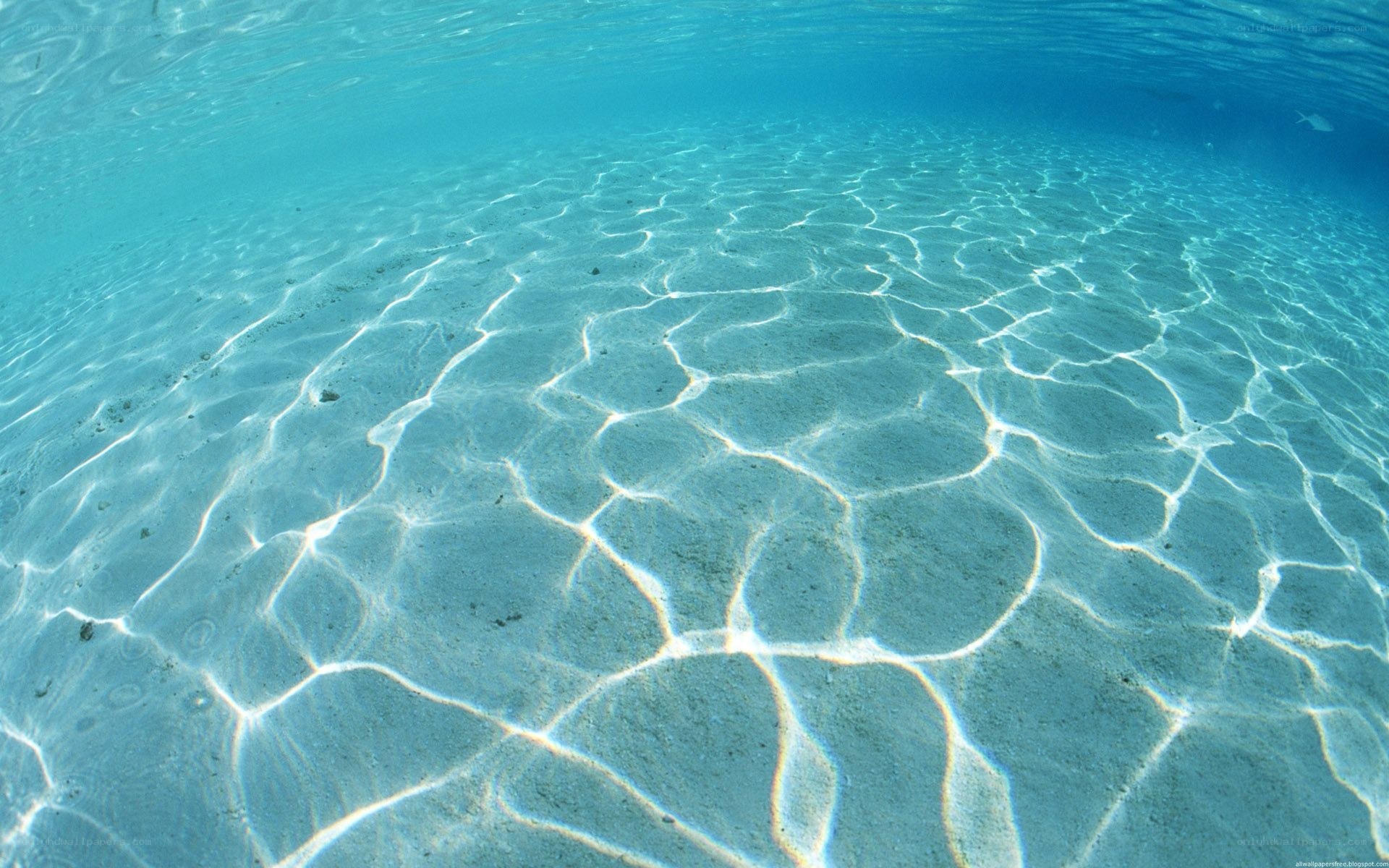 underwater sand with light patterns