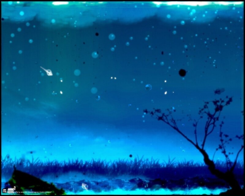 underwater scene with bubbles