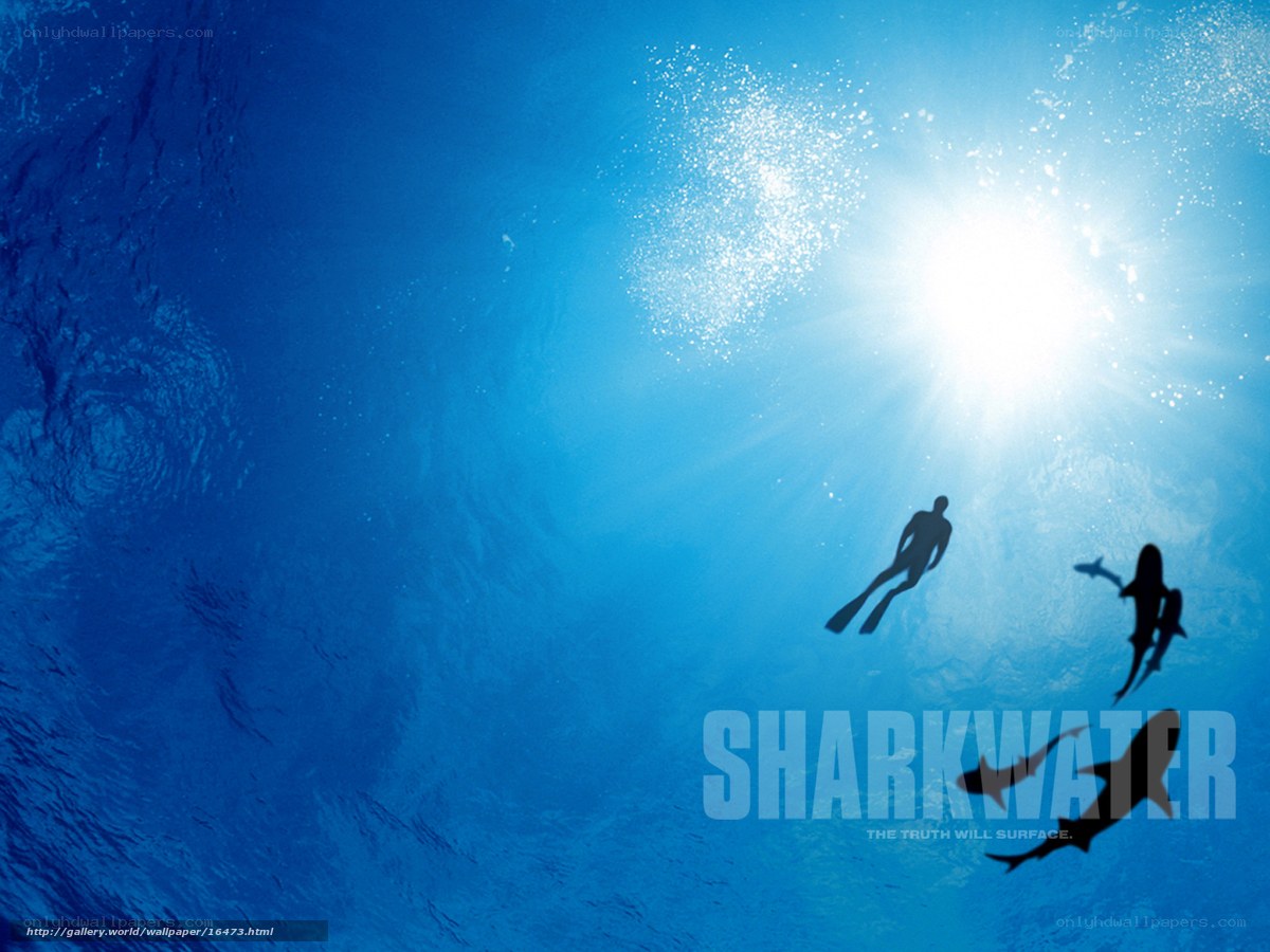 Underwater scene with divers and sharks