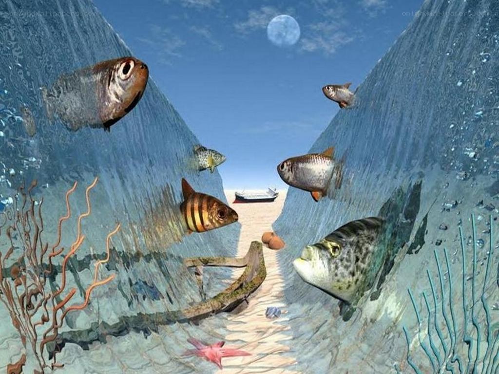underwater scene with fish