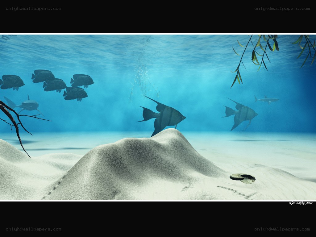 Underwater scene with fish