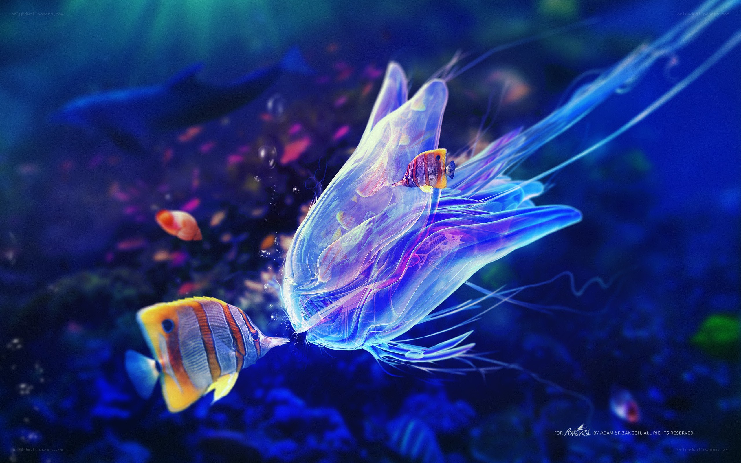 Underwater scene with fish and jellyfish