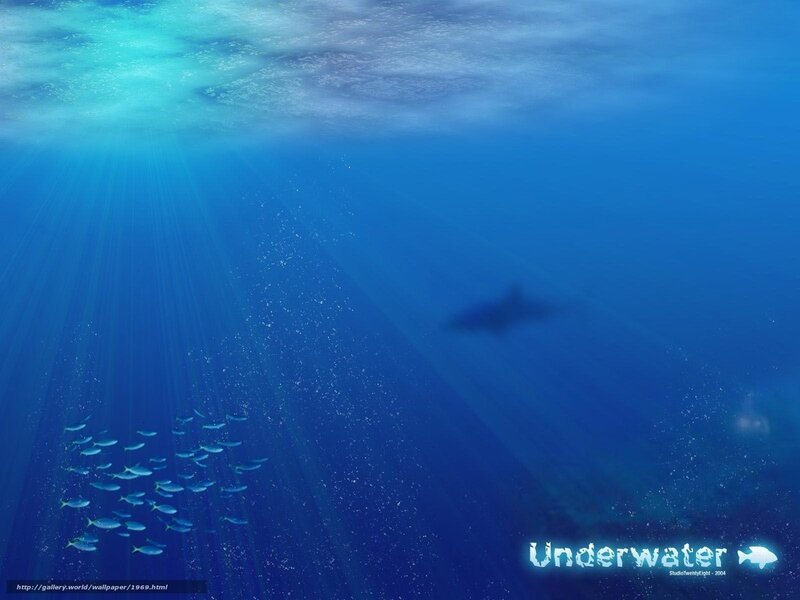 Underwater scene with fish