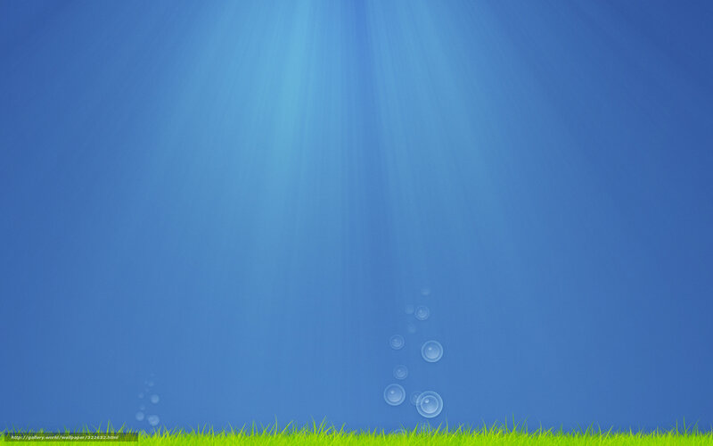 underwater scene with grass