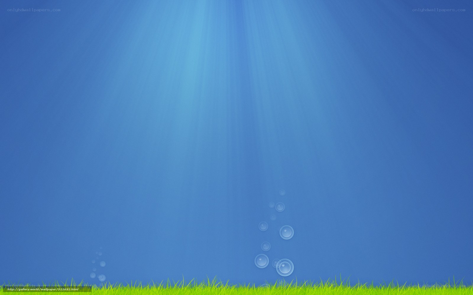 underwater scene with grass