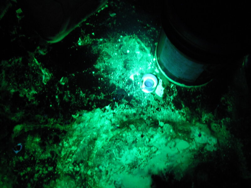 Underwater scene with green light