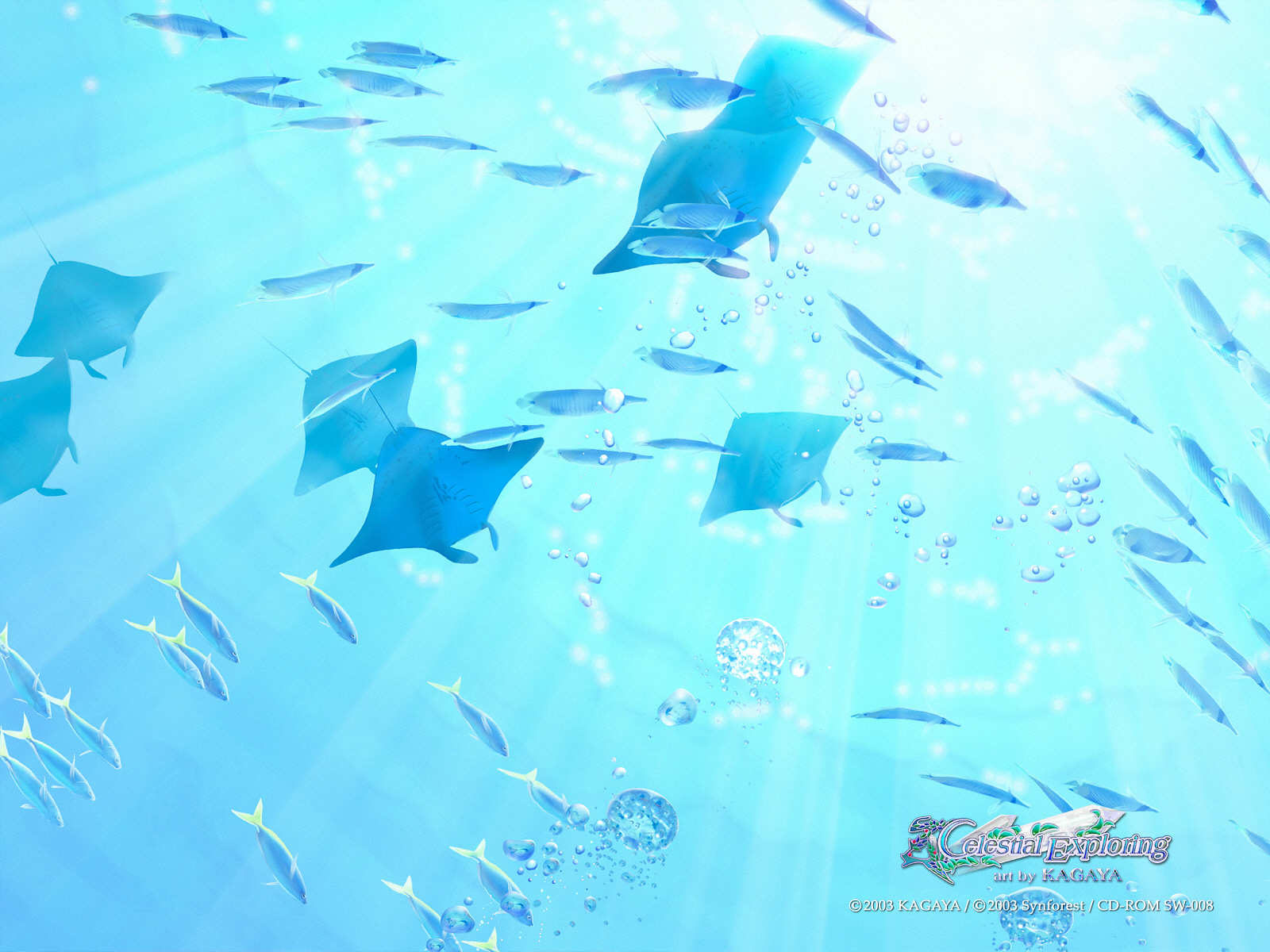 Underwater scene with manta rays