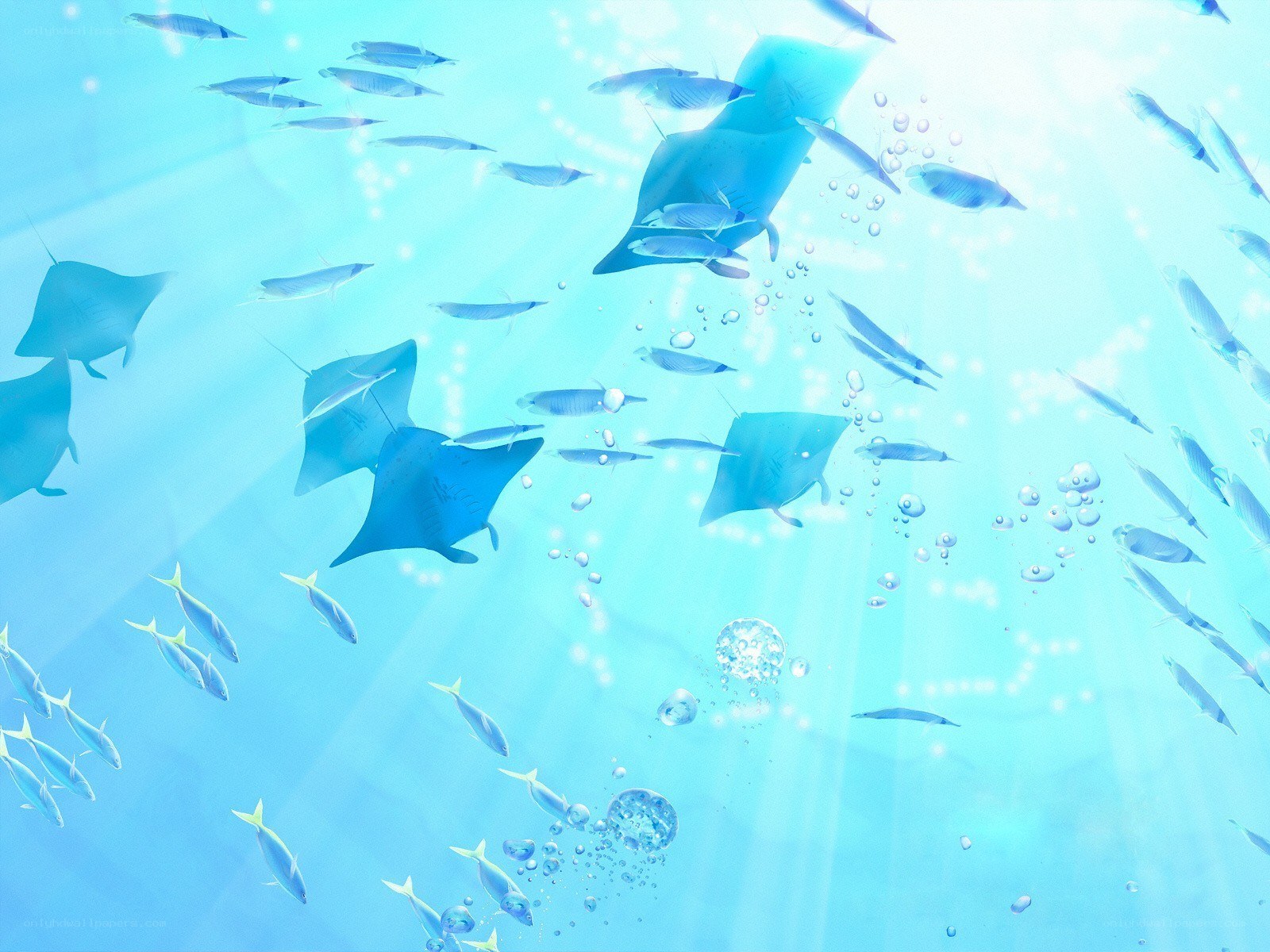 Underwater scene with manta rays
