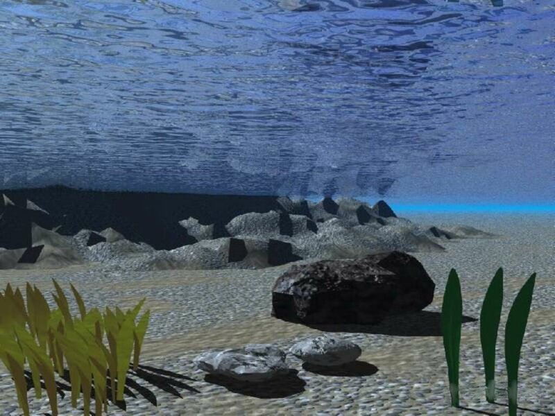 underwater scene with rocks