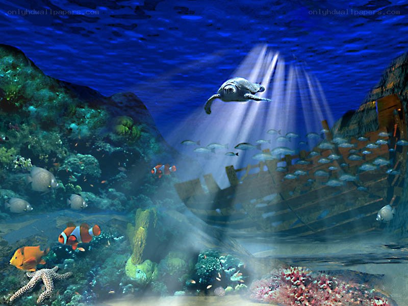 Underwater scene with sea turtle