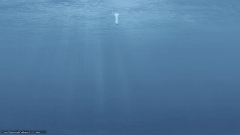 Underwater scene with sunlight