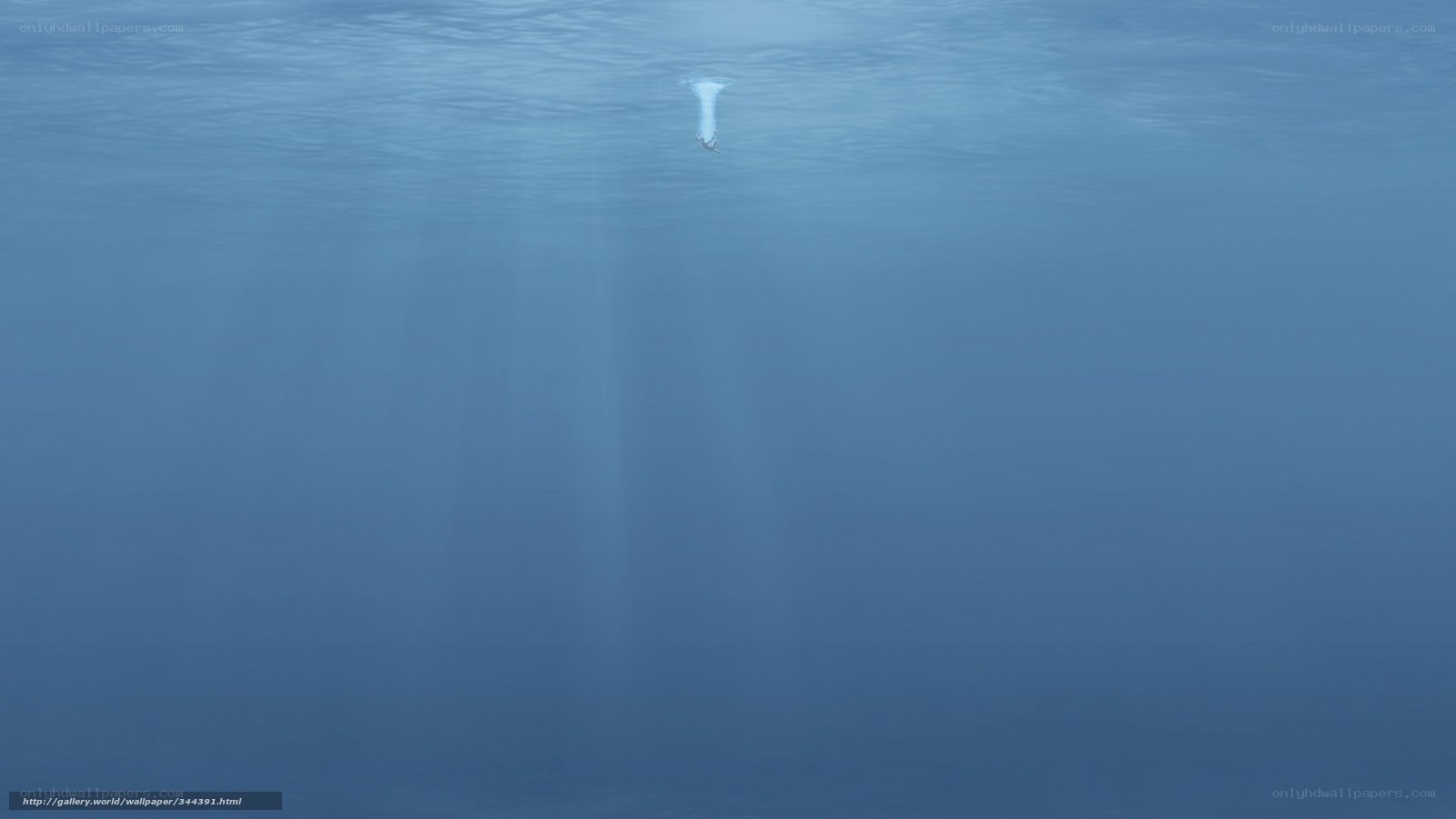 Underwater scene with sunlight