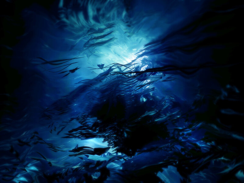 Underwater School of Fish — Blue