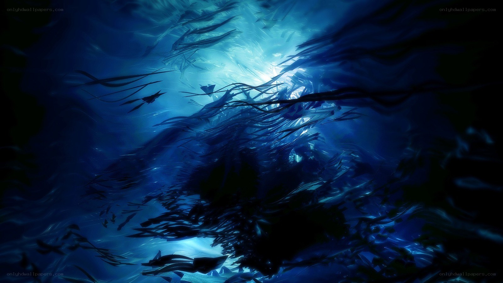 Underwater school of fish