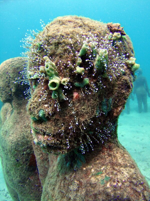 Underwater sculpture covered in marine life