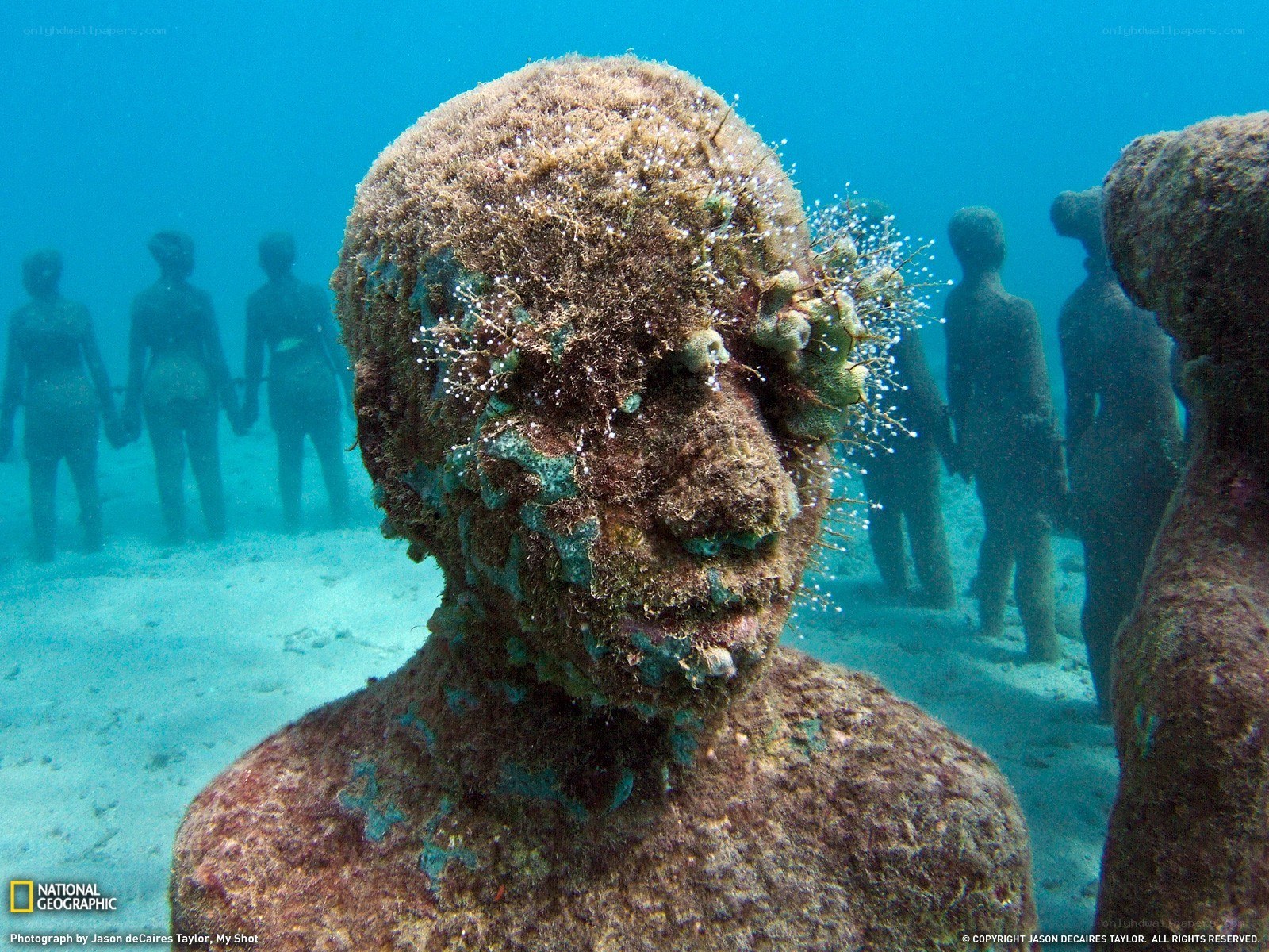 Underwater sculptures in the ocean
