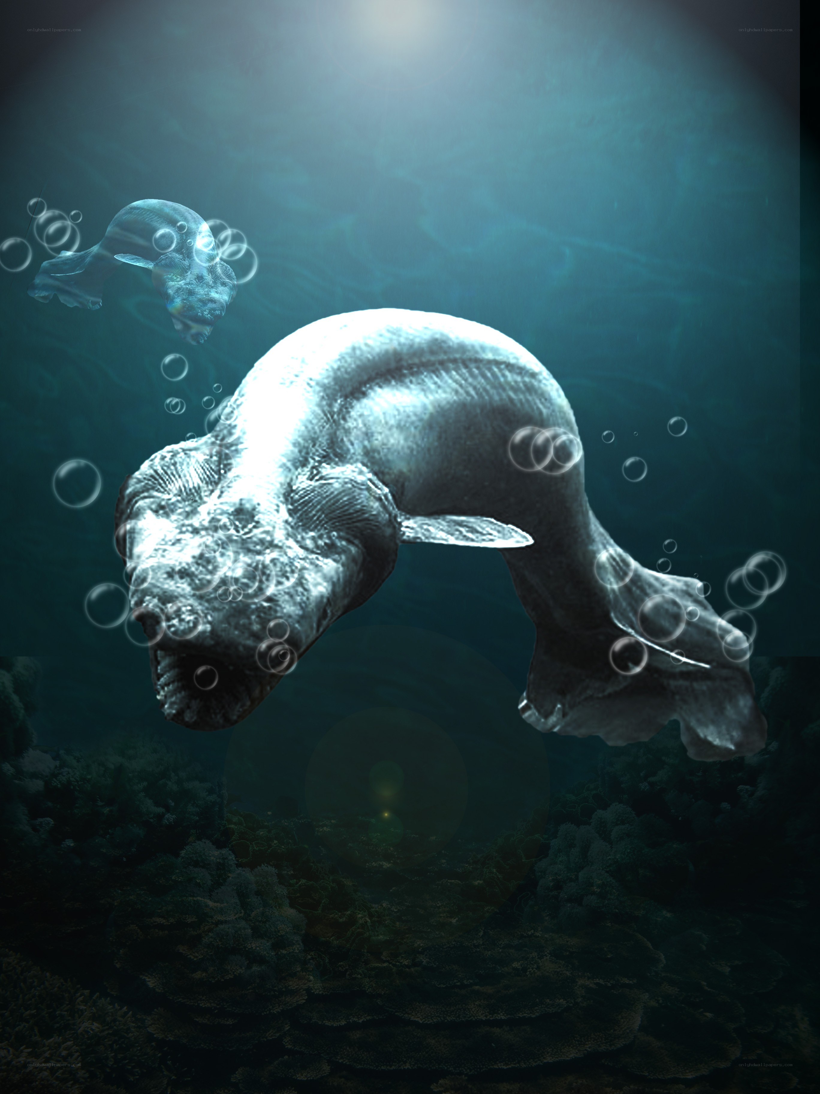 Underwater sea creature
