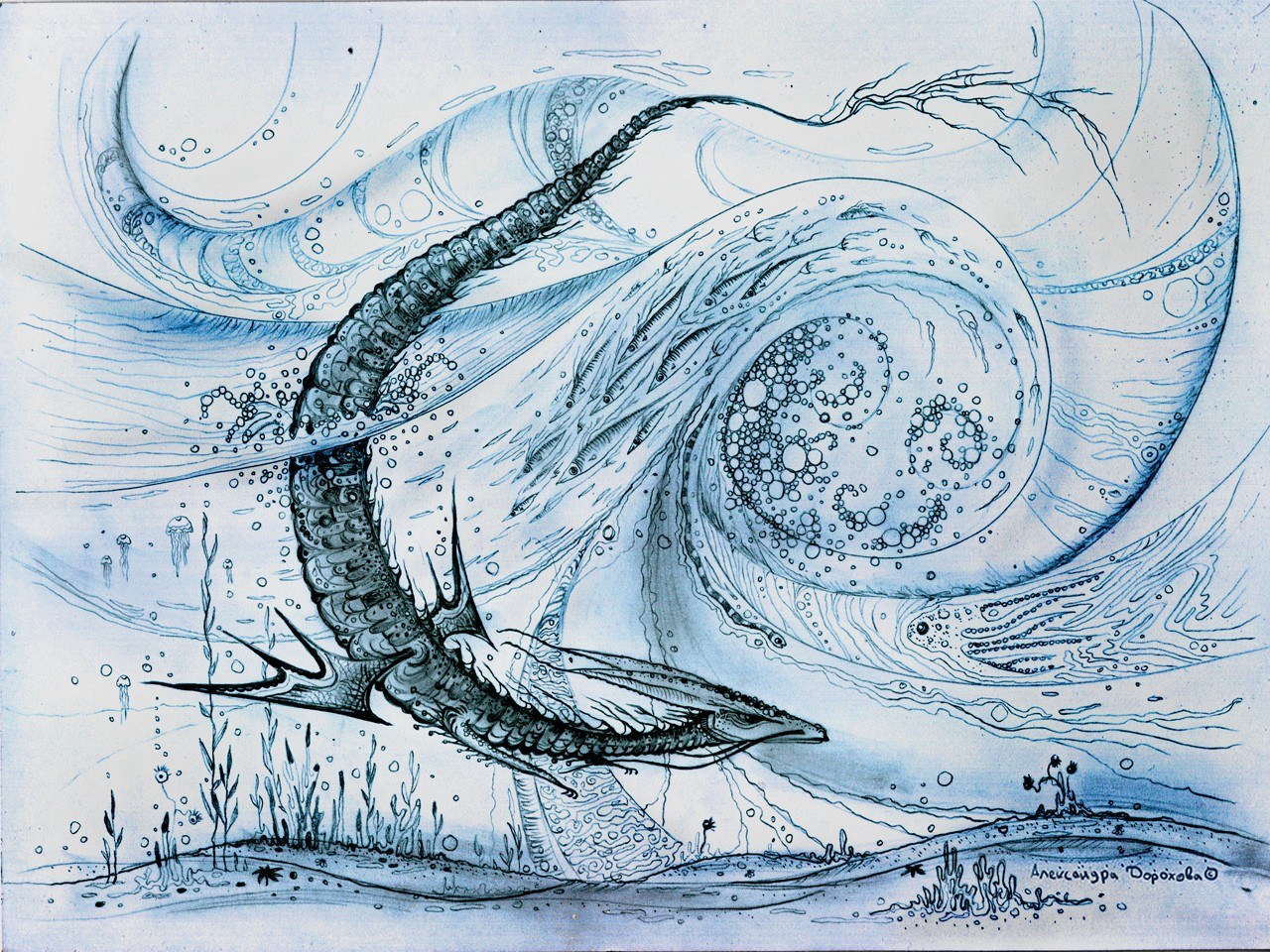 Underwater sea creature