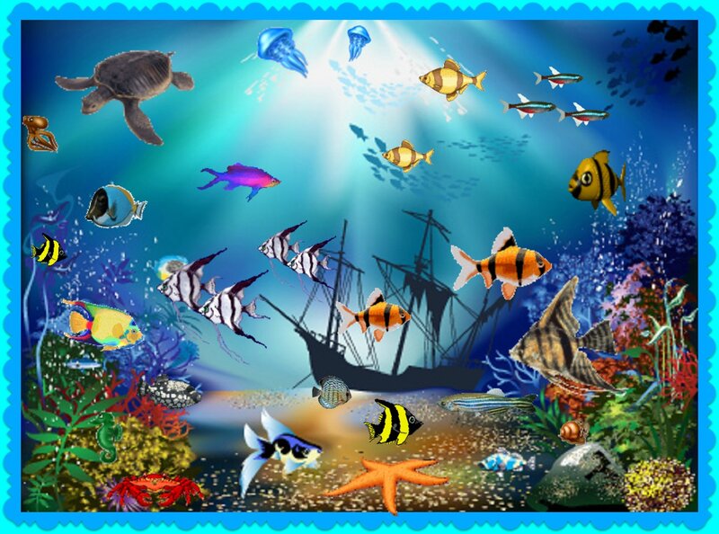 Underwater Sea Life — Blue, Serene
