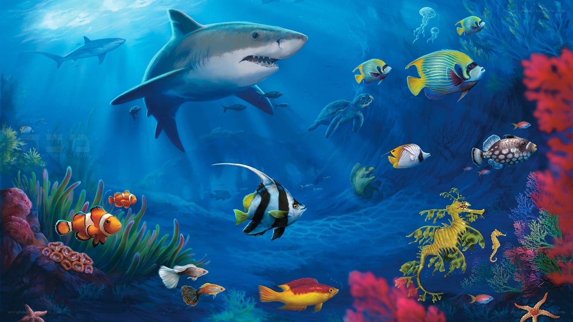 Underwater sea life scene