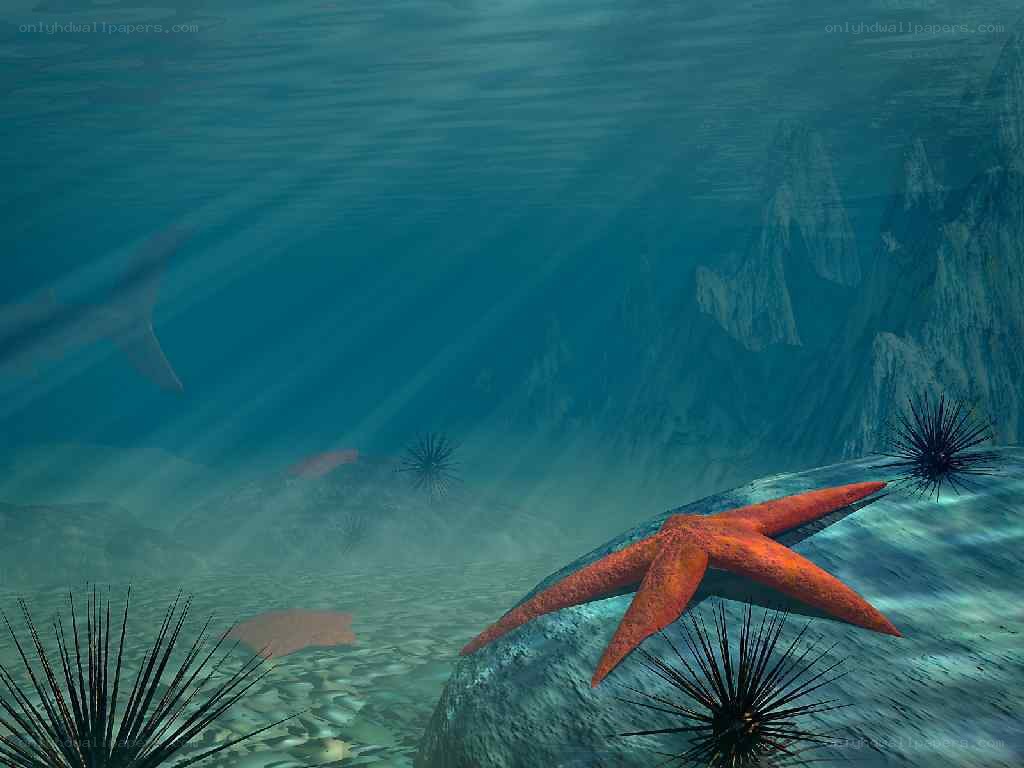 Underwater sea life scene