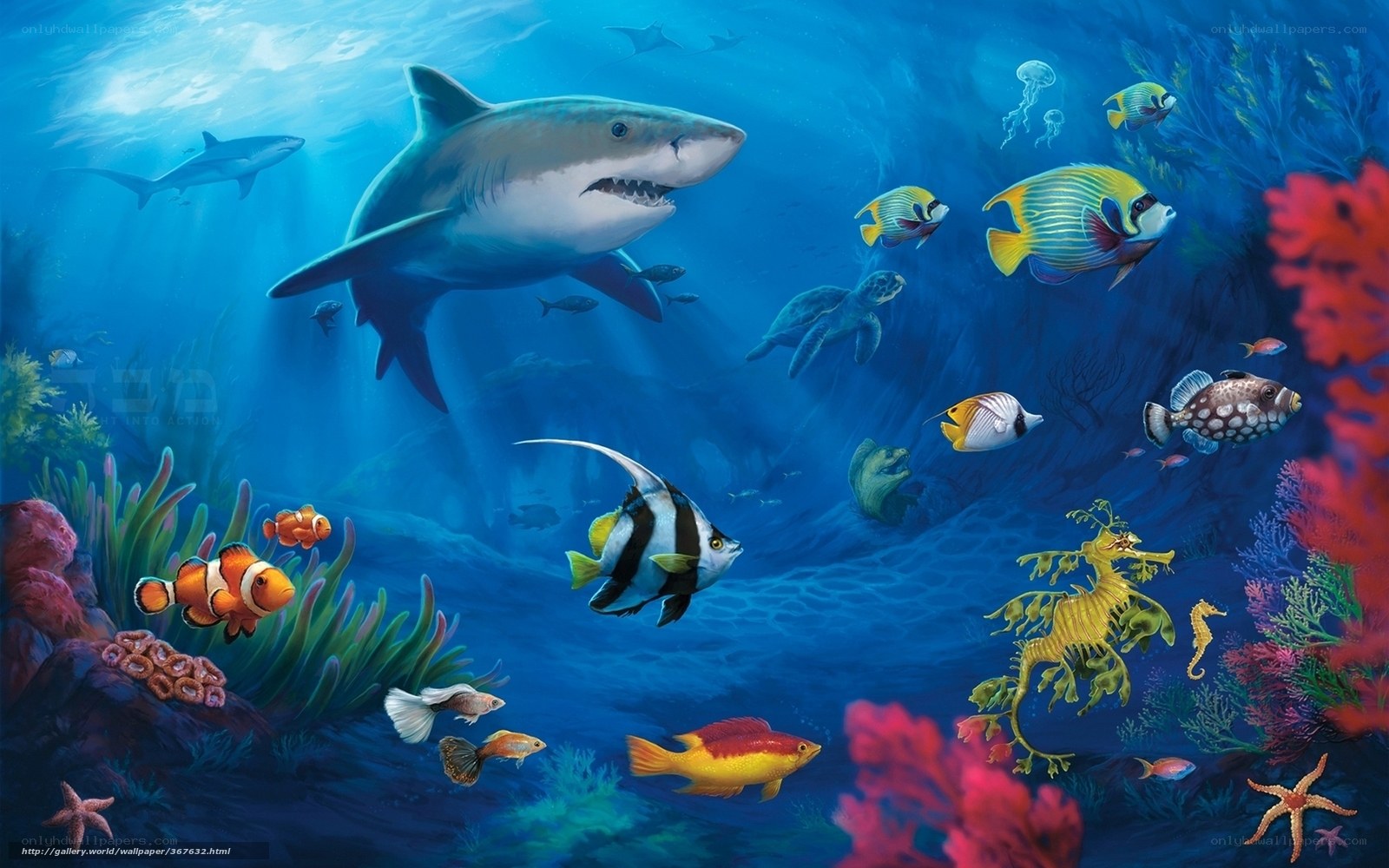 Underwater sea life scene