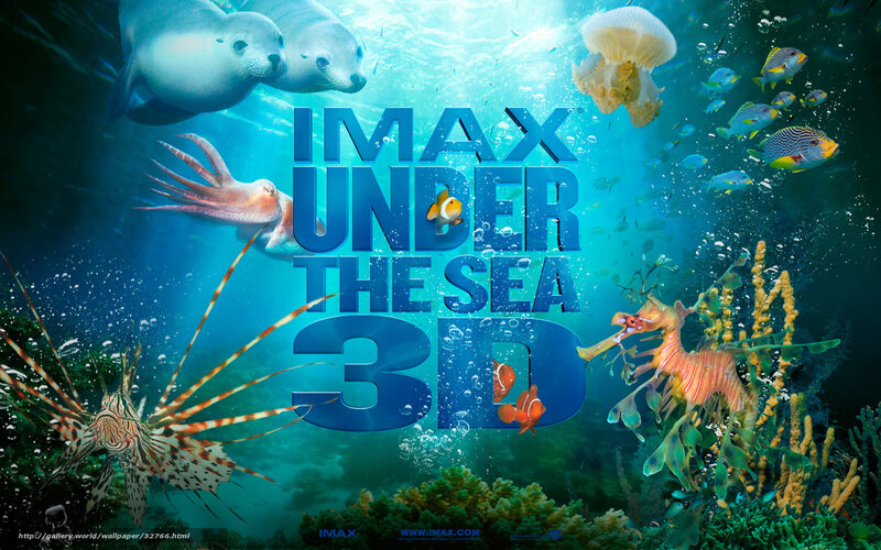 Underwater Sea Life