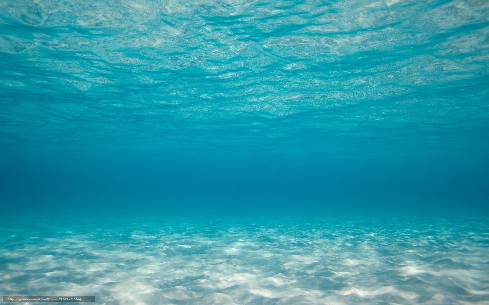 underwater sea view