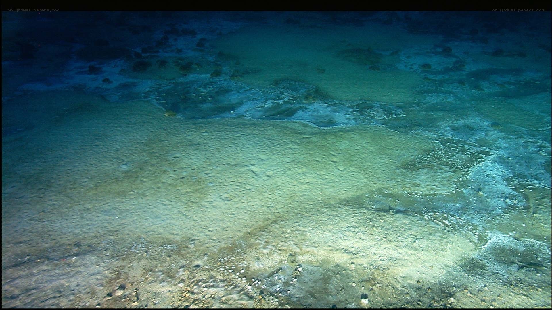 underwater seafloor landscape