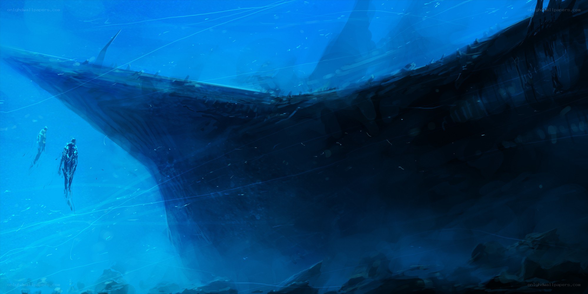 Underwater shipwreck exploration
