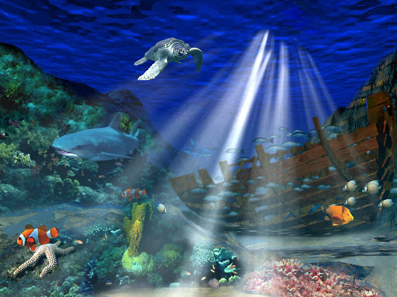 Underwater shipwreck scene