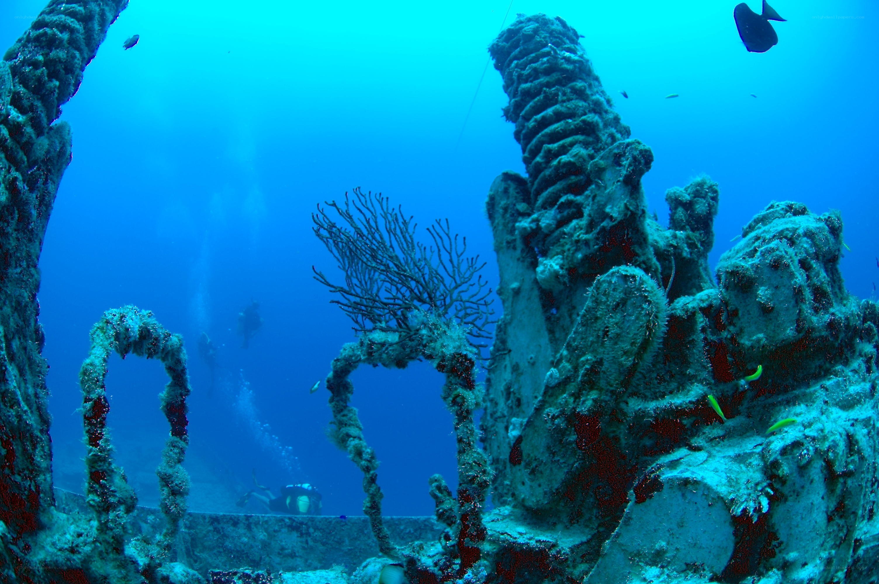 Underwater shipwreck with divers