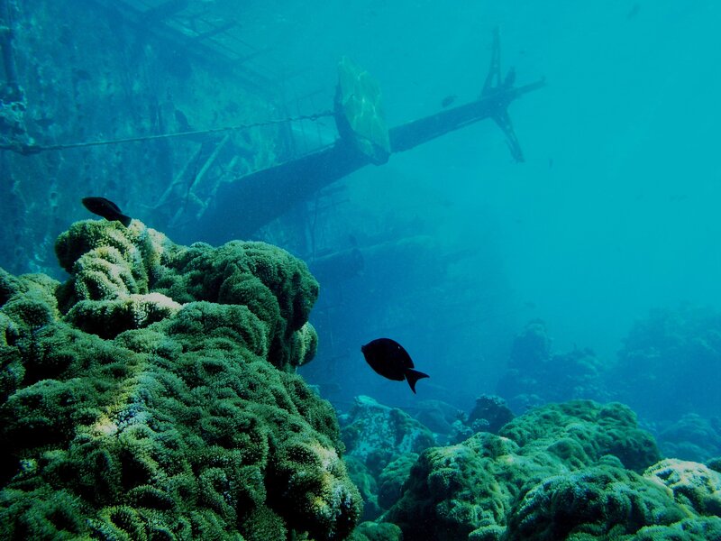 Underwater shipwreck with fish